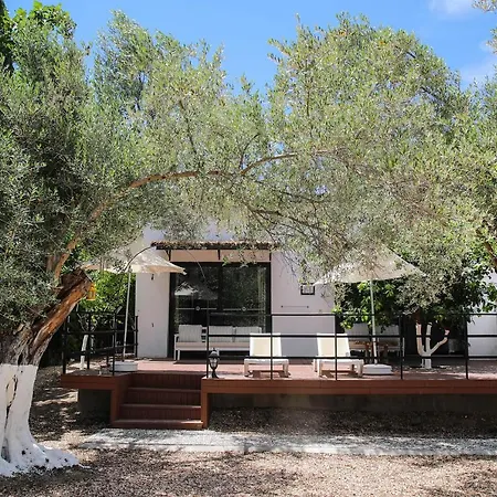 Enki Suess 阿拉恰特