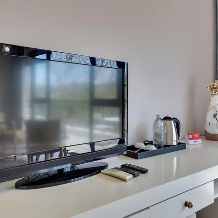 Enki Suess 阿拉恰特