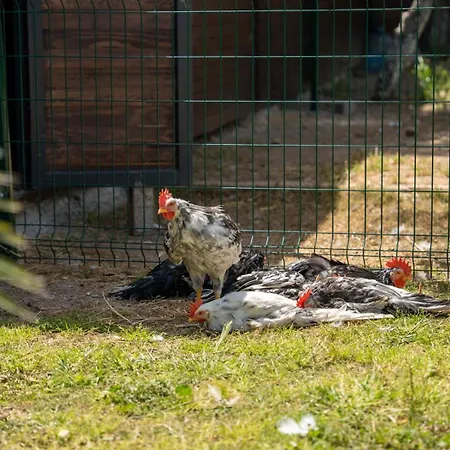 Hotel Enki Suess Alacati