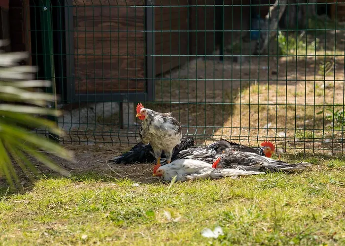 Hotel Enki Suess Alacati